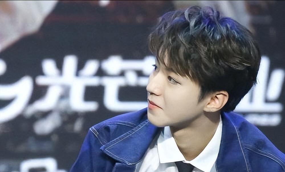 杨幂王俊凯绯闻_天涯黑料明星王俊凯,_王俊凯早年经历