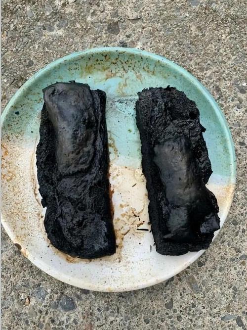 黑暗料理名单_黑暗料理界的原型_明星与黑暗料理的不解之缘,