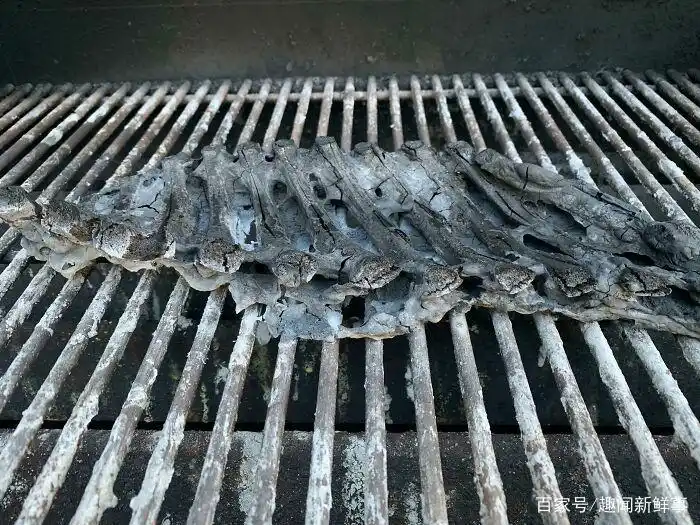 煮鸡蛋爆炸_烤箱食物失败案例_明星黑暗料理图片大全高清,